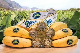 Plátano de Canarias Circuit (Spain, 2025)